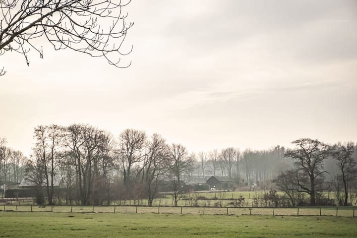 Foto 37 van Elbertsveen 15