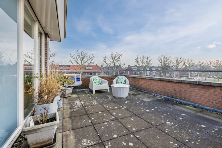 Foto 35 van Zegge 10