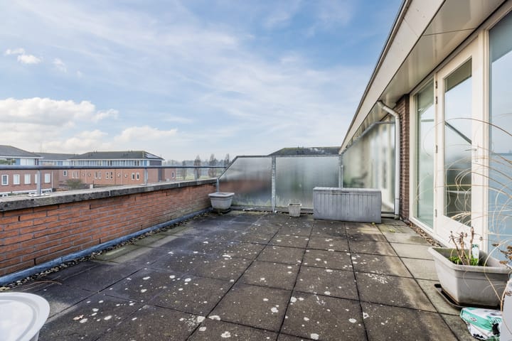 Foto 37 van Zegge 10