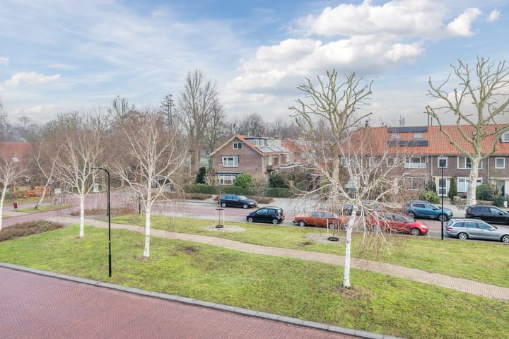 Foto 39 van Zegge 10