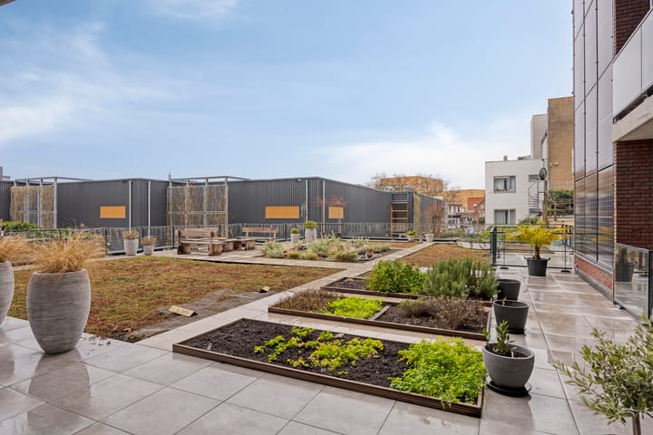 Foto 31 van Scheldekade 57-D