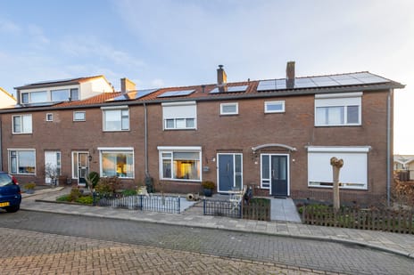 undefined main image