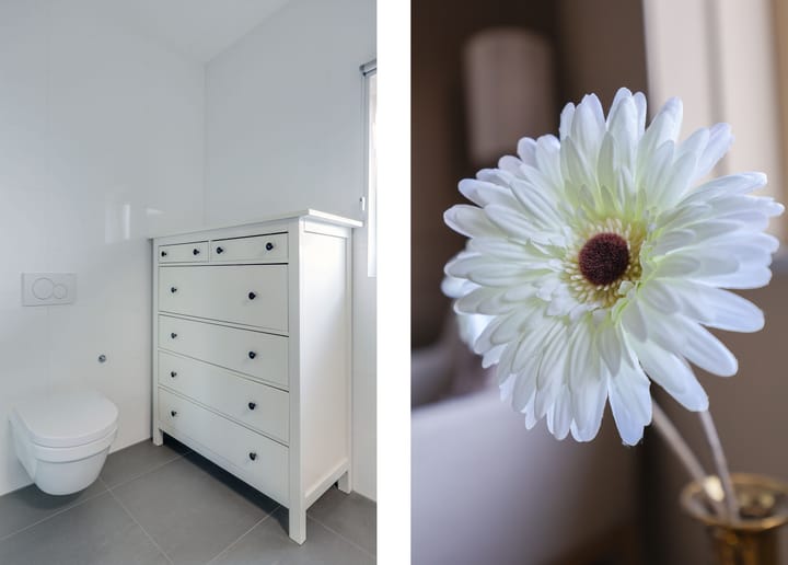 Foto 38 van Buizerdlaan 3