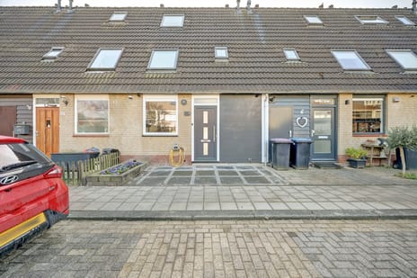 undefined main image