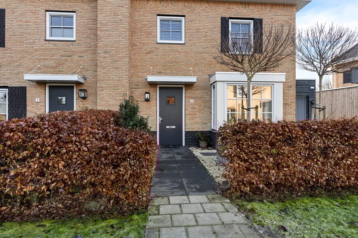 Foto 6 van Hazenoor 3