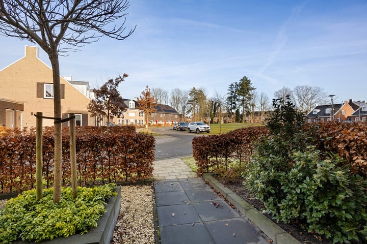 Foto 7 van Hazenoor 3