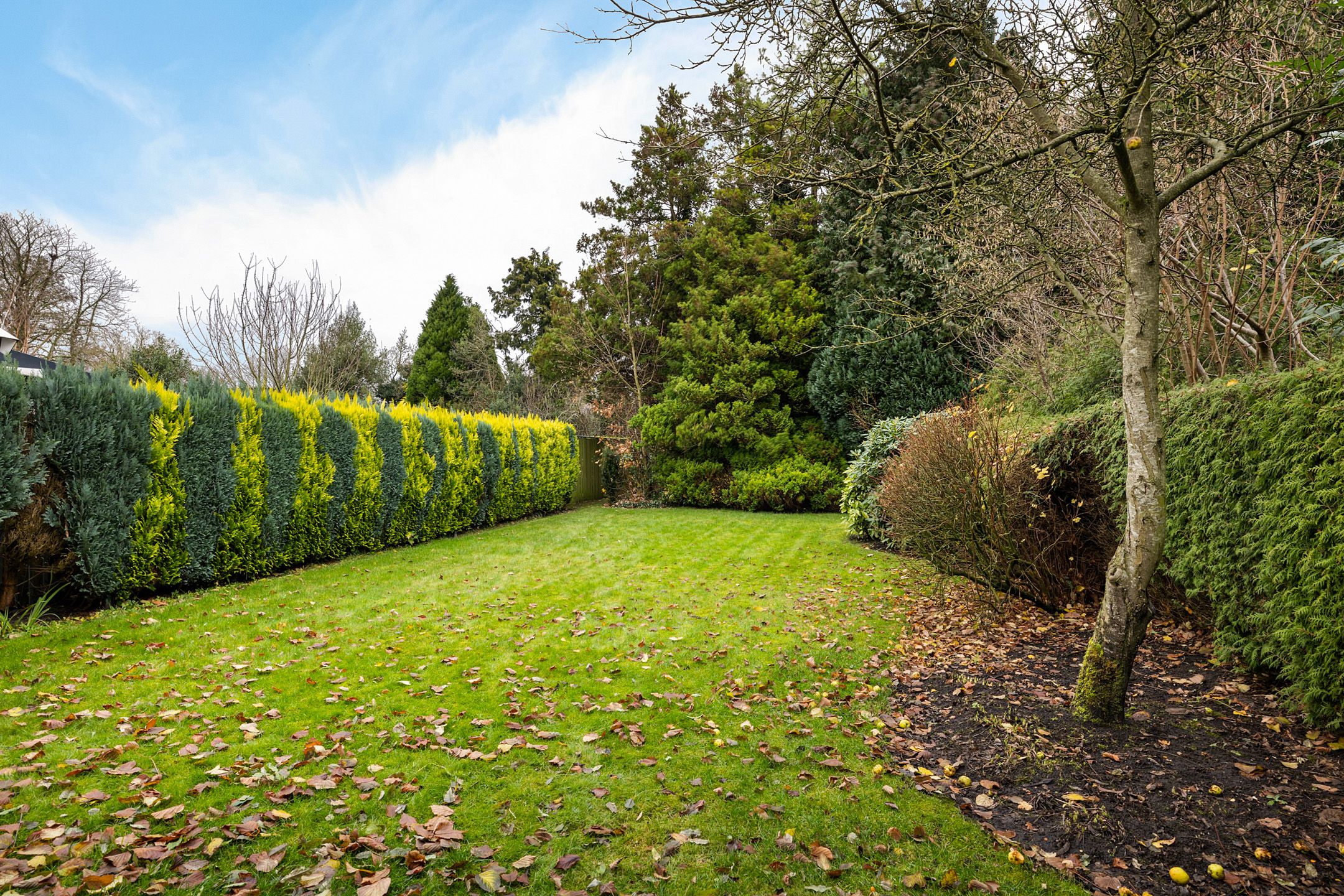 Foto 3 van A-kade 11