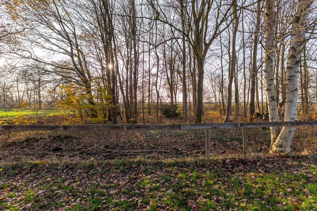 Foto 56 van Vrouwenlaan-voor 18