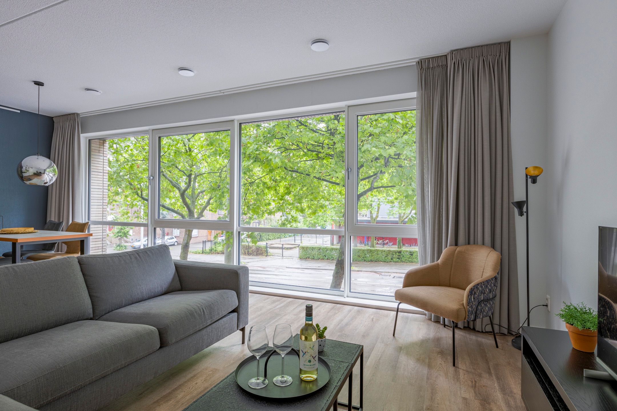 Foto 3 van Boezemweg 163-P