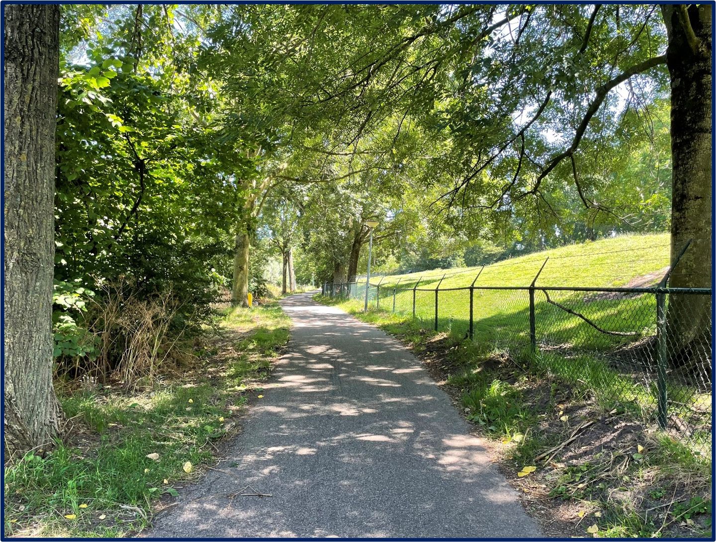 Foto 34 van Elzekrulzoom 95