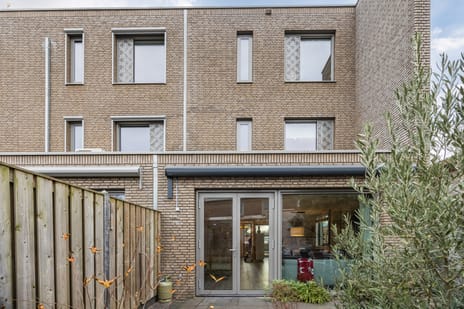 undefined main image