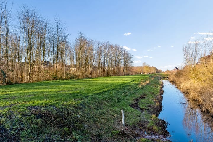 Photo 54 of Sprietzeil 31