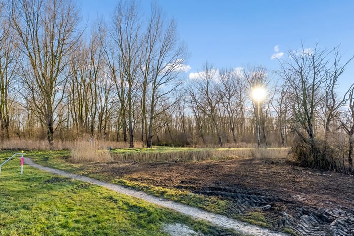 Photo 56 of Sprietzeil 31