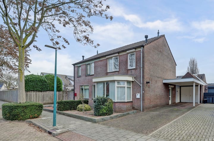 Geelrijs 22 main image