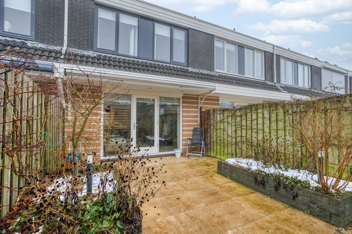 Photo 38 of Robert Stolzhof 187