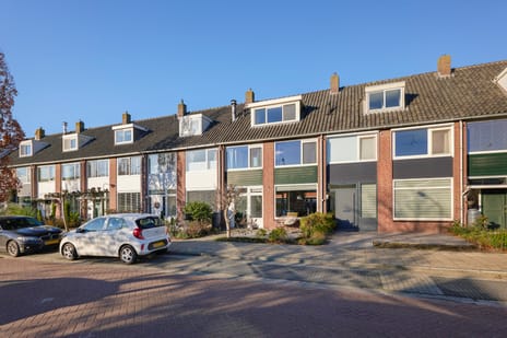 undefined main image