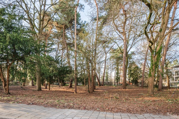 Foto 43 van Antoon Coolenlaan 35