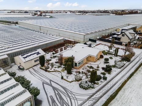 Alsemgeestlaan thumbnail