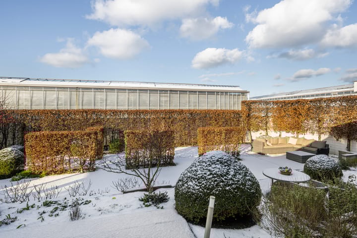 Photo 14 of Alsemgeestlaan 7