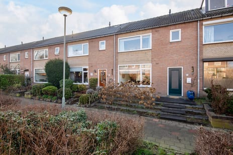 undefined main image