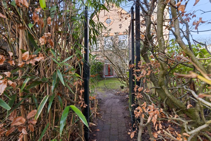 Foto 50 van Graaf Hendriklaan 3