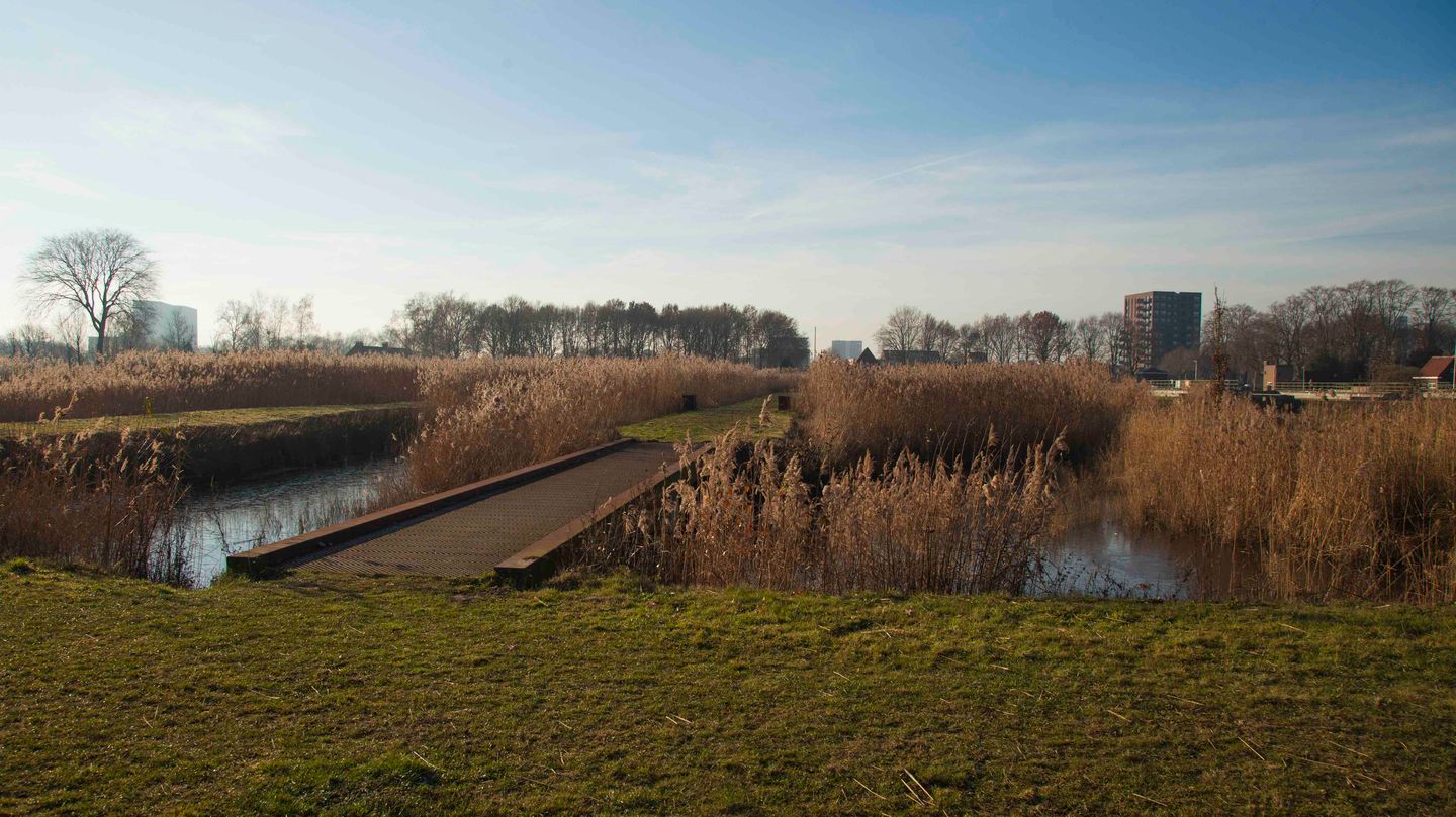 Foto 40 van Heile Schoorstraat 25