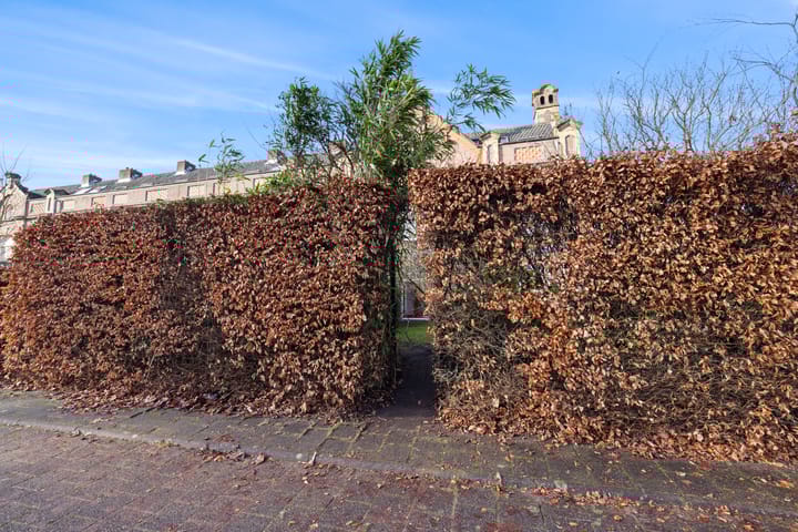 Foto 55 van Graaf Hendriklaan 3