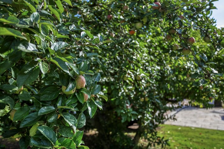 Foto 33 van Compagnonsweg 14