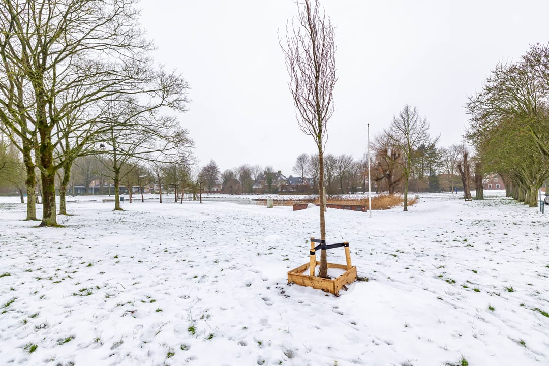 Foto 8 van Schout de Boerstraat 1