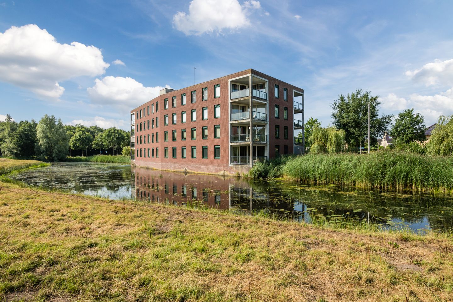 Foto 5 van Hooiland 59