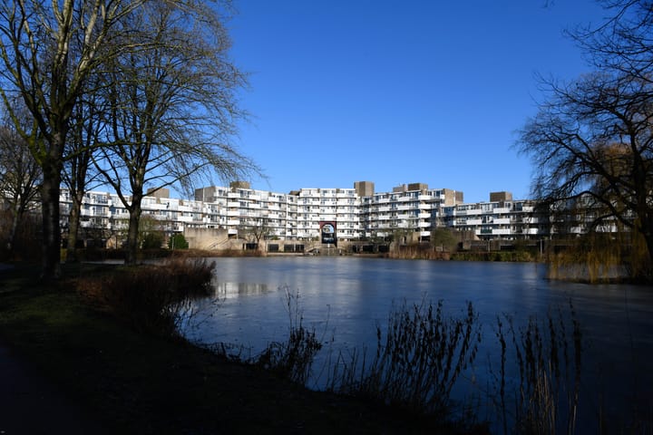 Foto 35 van Zadkinerade 11