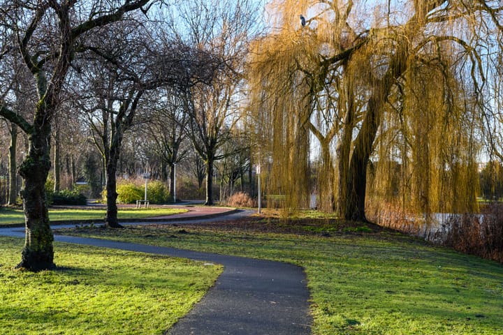 Foto 37 van Zadkinerade 11