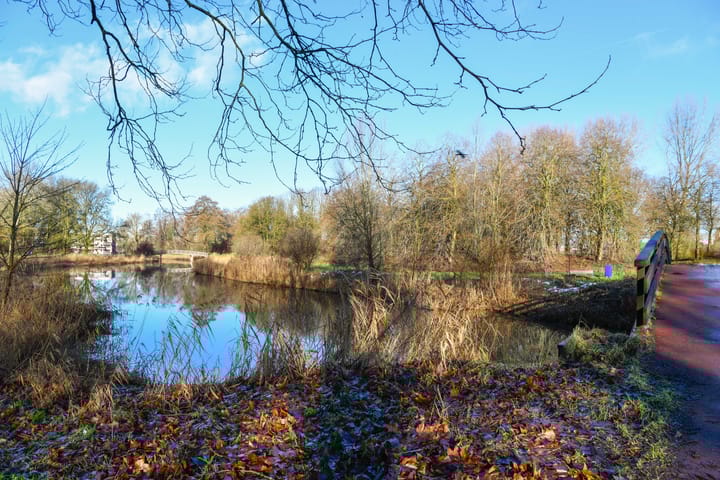 Foto 40 van Zadkinerade 11