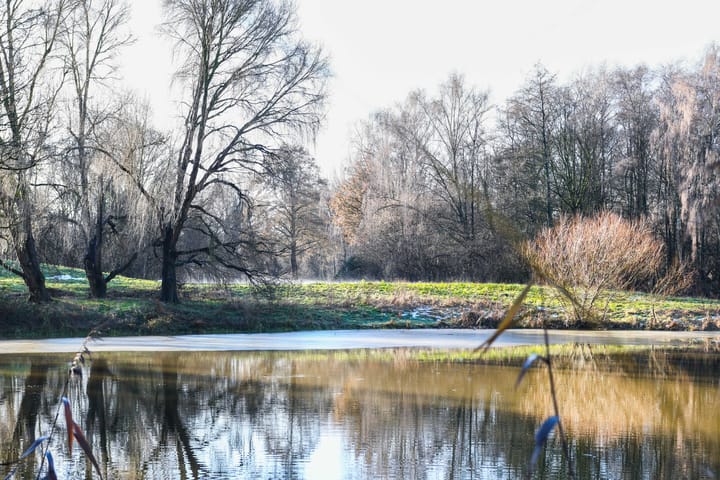 Foto 41 van Zadkinerade 11