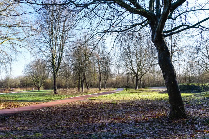 Foto 42 van Zadkinerade 11