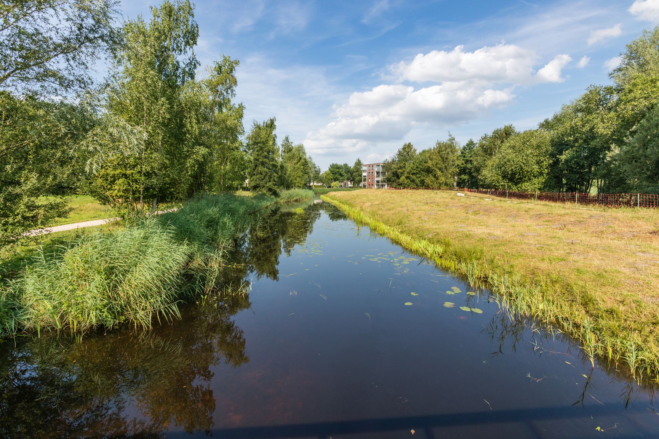 Foto 36 van Hooiland 59