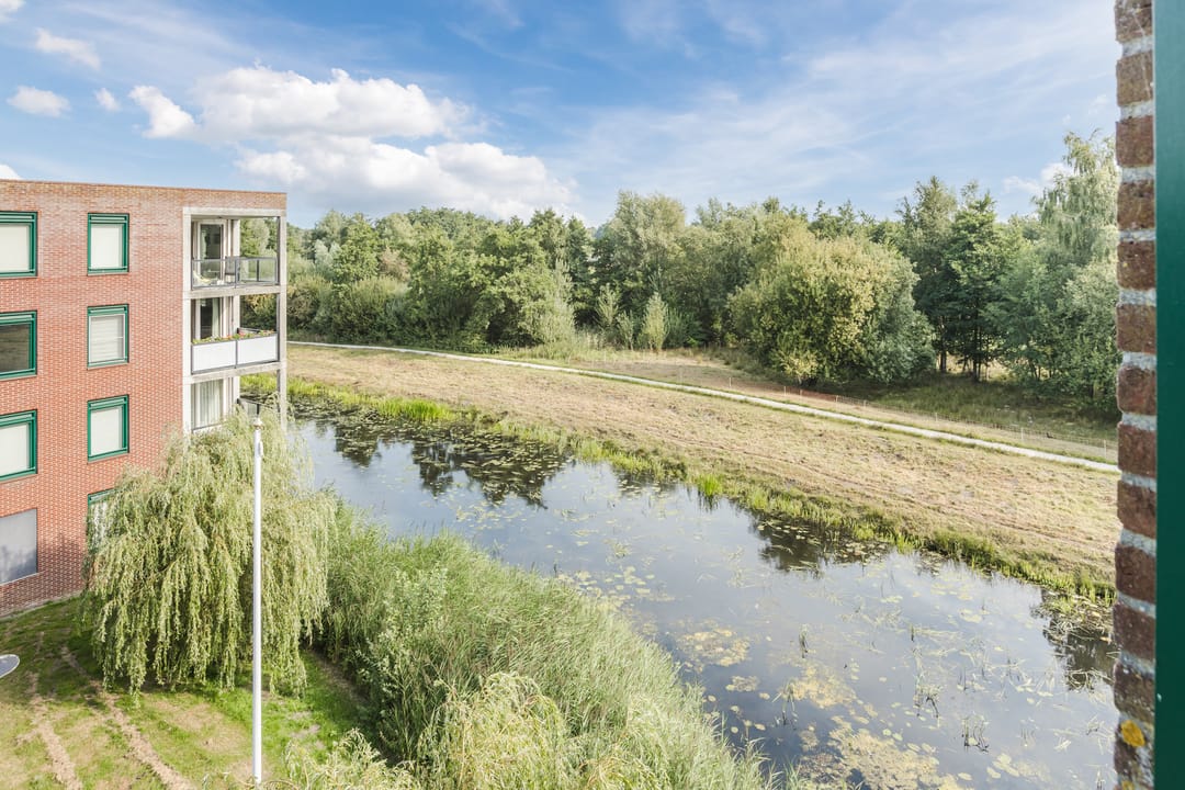 Foto 37 van Hooiland 59