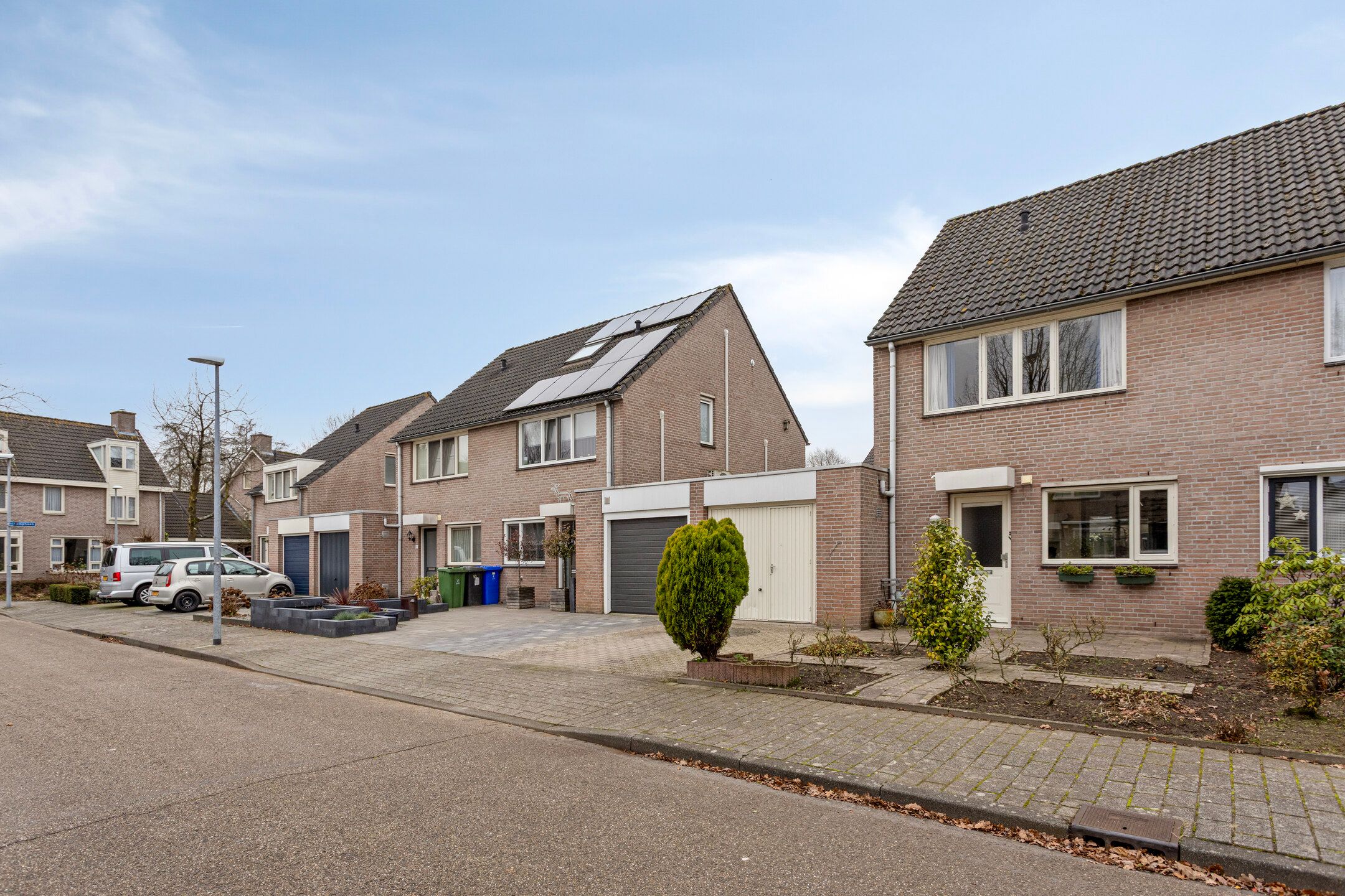 Photo 3 of Patrijs 63