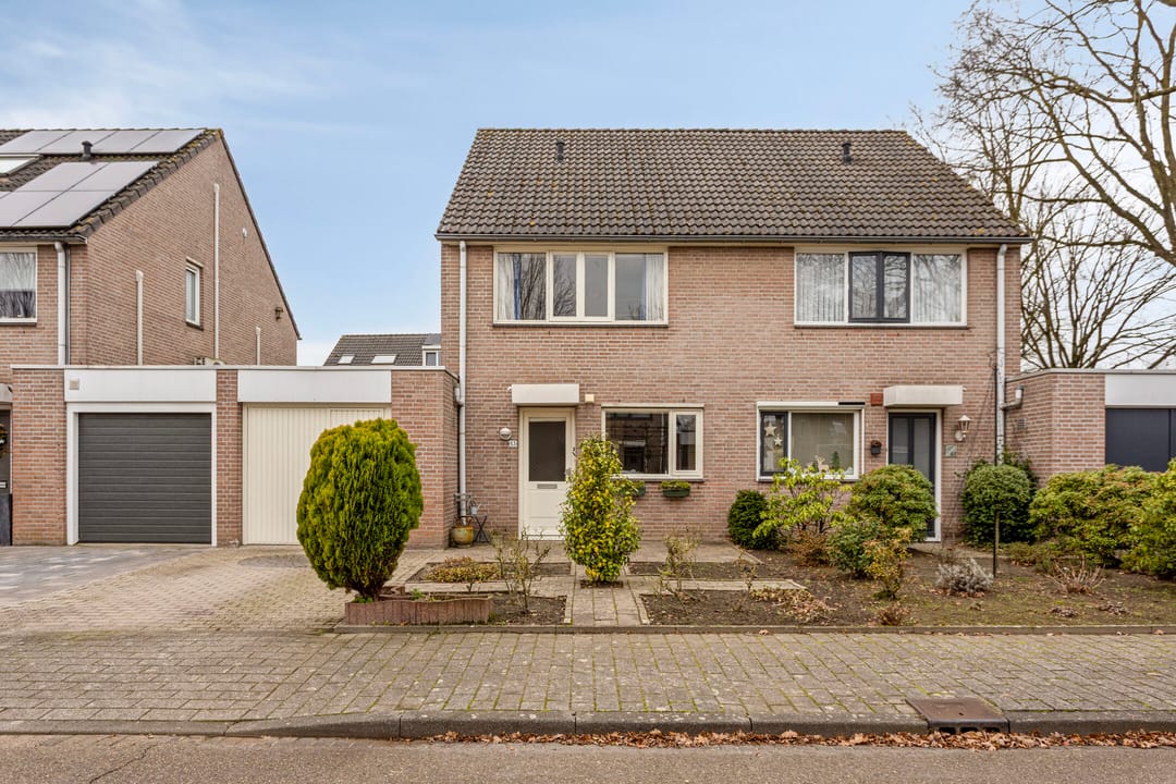 Photo 2 of Patrijs 63