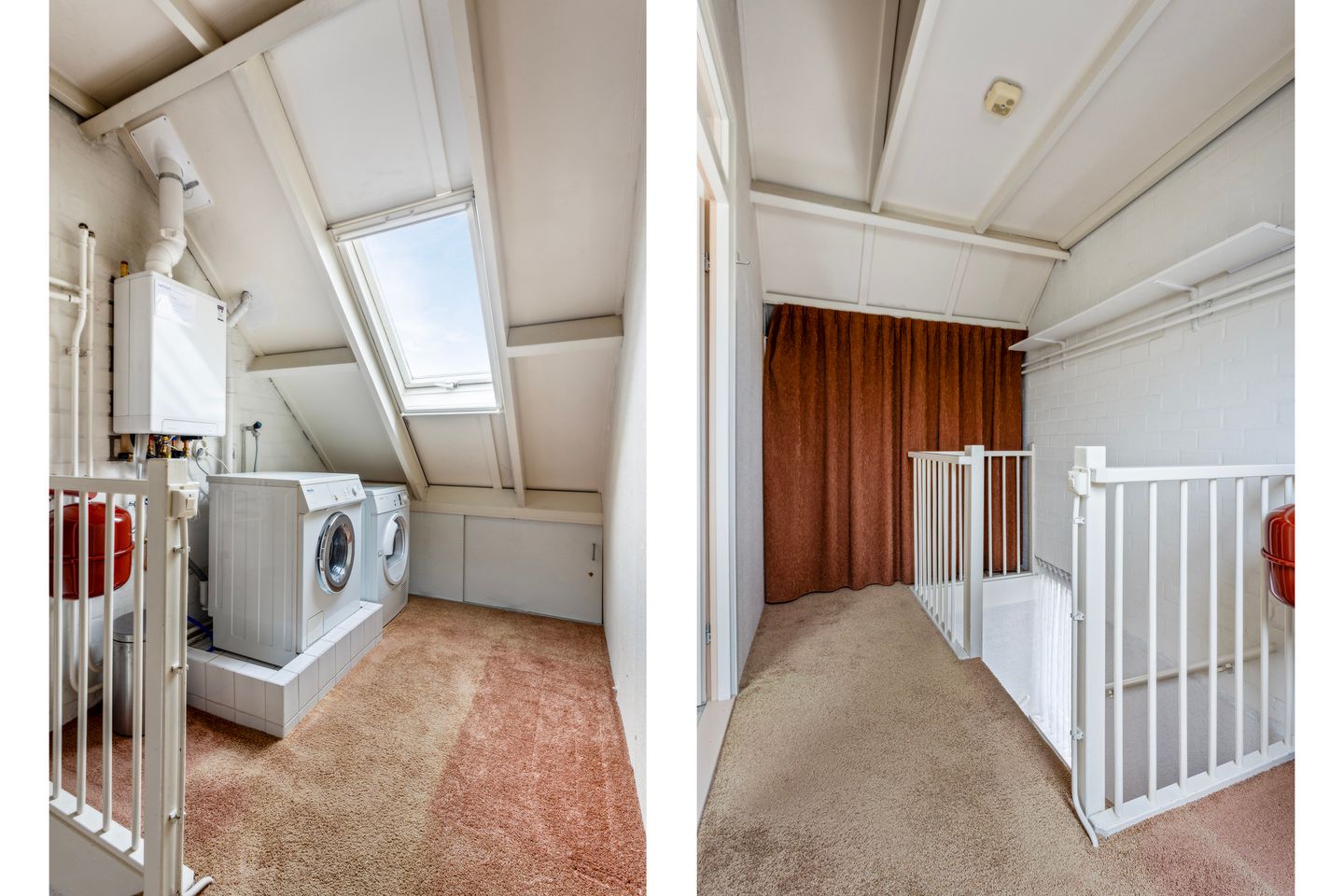 Photo 20 of Patrijs 63