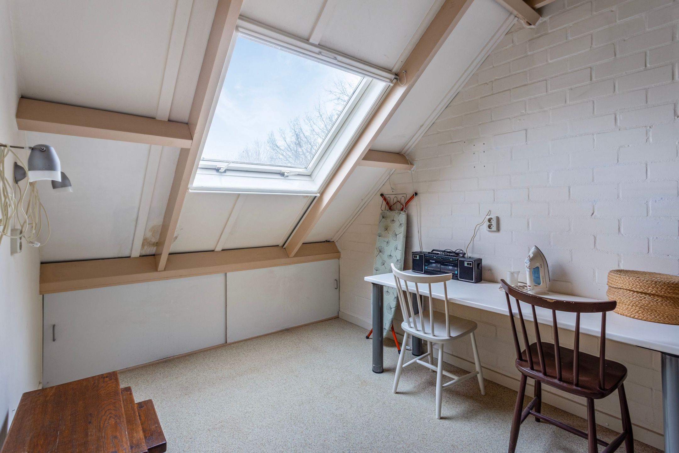 Photo 21 of Patrijs 63