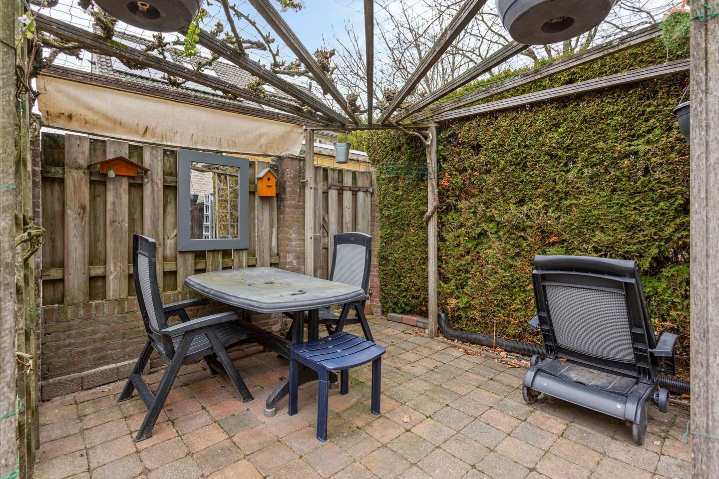 Photo 25 of Patrijs 63