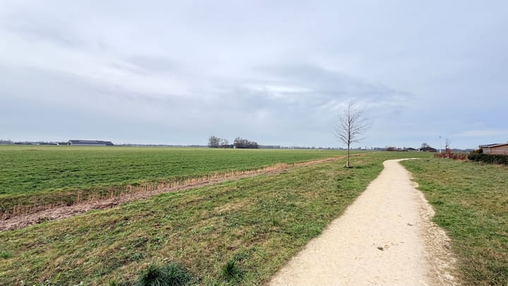 Photo 7 of Westergrift 69