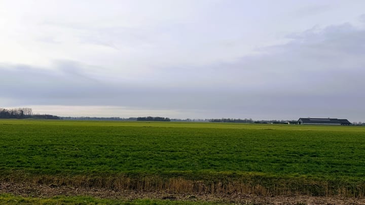 Photo 45 of Westergrift 69