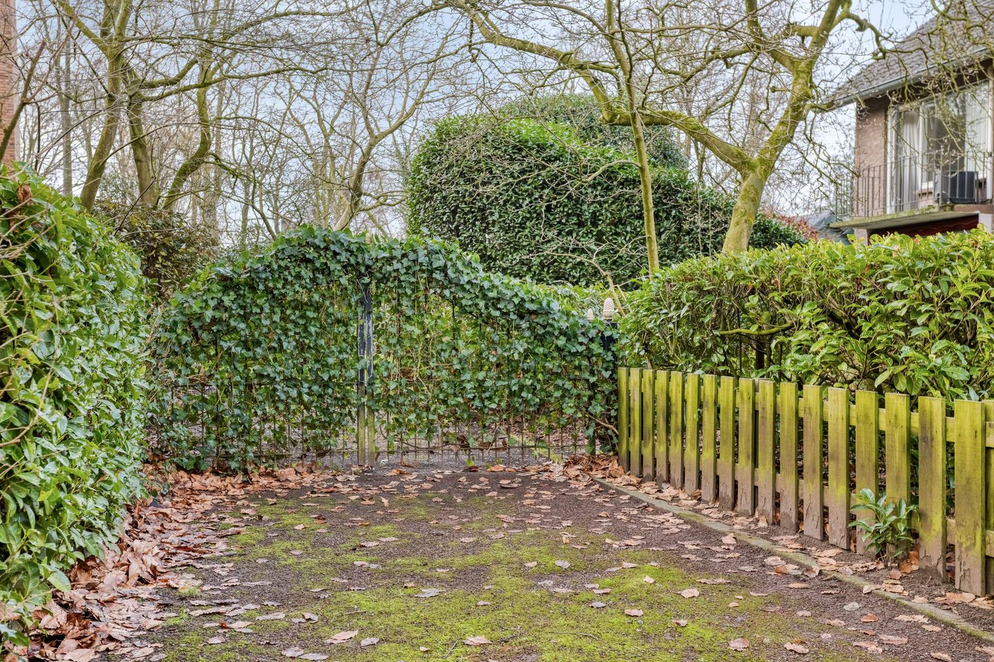 Foto 49 van Driebergenlaan 3