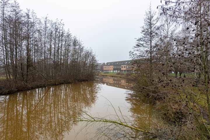 Foto 7 van Roodeschoolstraat 23