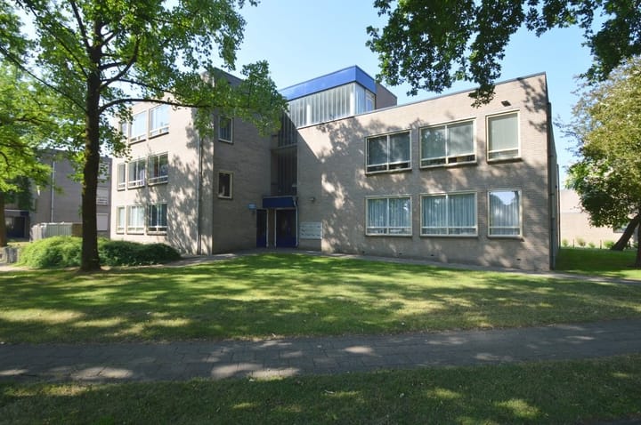 Photo 1 of Gender 13