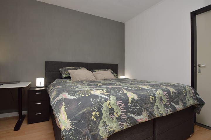 Photo 8 of Gender 13