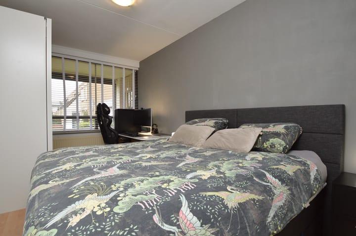 Photo 9 of Gender 13