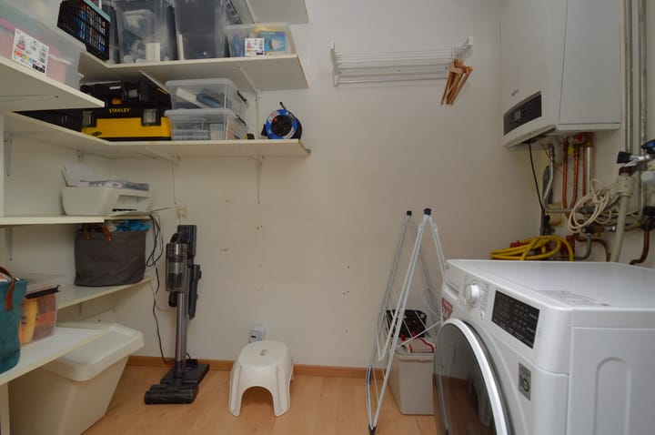 Photo 12 of Gender 13